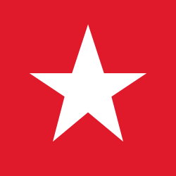 Macy's, Inc. Website