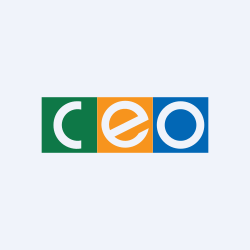 C.E.O Group Joint Stock Company Website