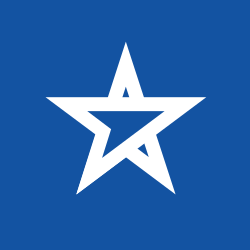 Blue Star Limited Website